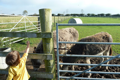 On holiday at Croft Farm and Celtic Cottages, Pembrokeshire