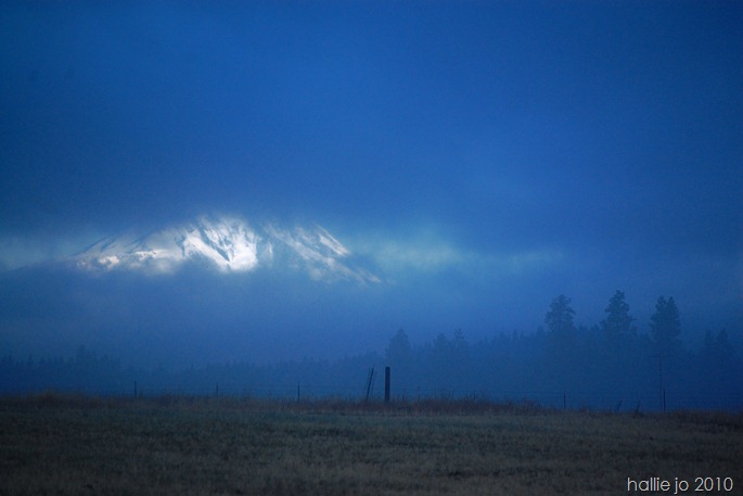 Morning Mist 005
