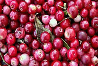 Cranberry health benefits in hindi 