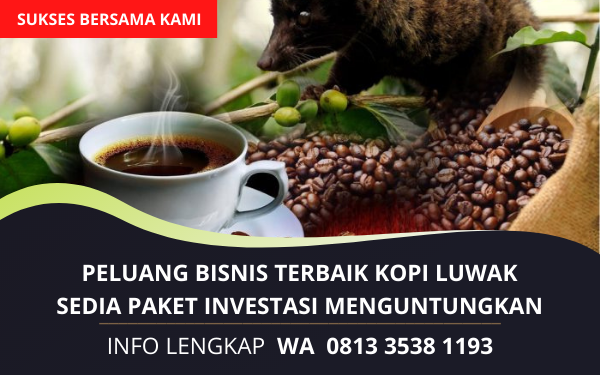 Peluang Bisnis Kopi Luwak Terbaik Terpercaya – Kenikmatan dan popularitas kopi luwak sudah tersebar di Indonesia dan mancanegara. Karena kenikmatannya yang khas dan istimewa, Anda harus mengeluarkan uang paling sedikit 80.000 rupiah untuk mendapatkan secangkir kopi luwak. Terutama di luar negeri, secangkir kopi luwak dijual paling rendah U$ 50, sekitar Rp 450.000.  Berbagai media lokal dan internasional, baik elektronik maupun cetak, telah banyak mengupas tentang khasiat dan rasa spesial kopi luwak. Acara talkshow The Oprah Winfrey Show juga pernah membahas tentang si kopi fases ini. Bahkan, Presiden Republik Indonesia pernah memberikan kopi luwak sebagai oleh-oleh dari Indonesia kepada Perdana Menteri Australia. Peluang Bisnis Kopi Luwak Terbaik Terpercaya | Investasi Terbaik dan Paling Menguntungkan | Gabung Bersama Kami | WA 0813 3538 1193  Peluang Bisnis Terbaik Kopi Luwak Indonesia  Mahalnya harga kopi luwak sangat beralasan. Di samping dengan kenikmatan rasanya, juga proses pembuatannya yang unik dan tidak bisa diproduksi secara besar. Kopi luwak hanya dihasilkan dari biji-biji kopi pilihan melalui proses fermentasi dalam sistem pencernaan luwak atau musang. Maka, produksi kopi luwak hanya mengandalkan ketersediaan hewan luwak, baik dari penangkaran maupun alam bebas. Di situlah kelebihannya. Potensi keuntungan besar bagi yang tau strategi mengelola usahanya.