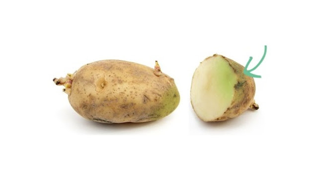 البطاطس ذات البقع الخضراء