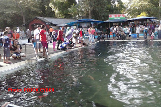 Kolam di Cibulan ukuran 35 x 15 meter persegi dan kedalaman 2 meter