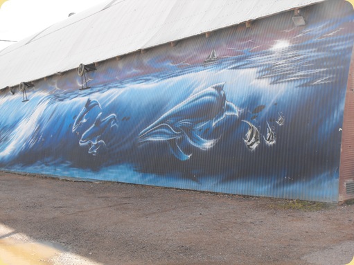 Pinal County Fairgrounds 022