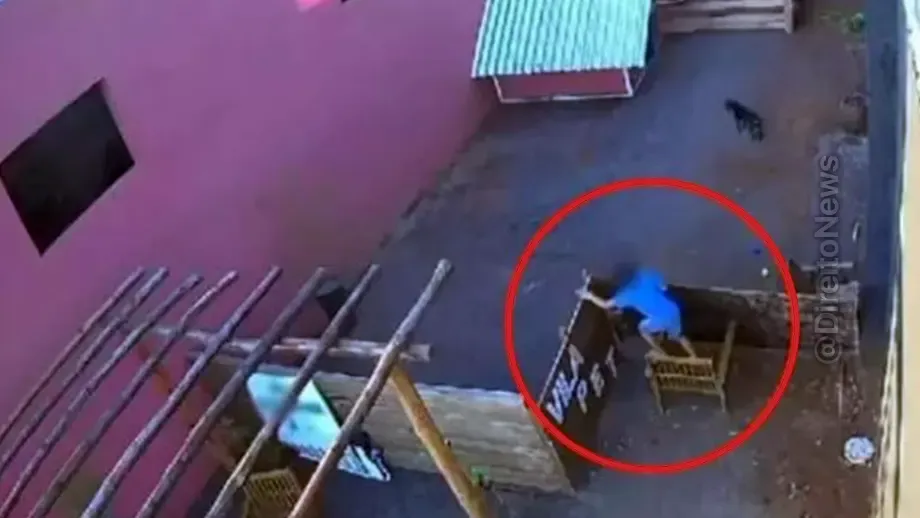 crianca que massacrou 23 animais disse que nao foi primeira vez