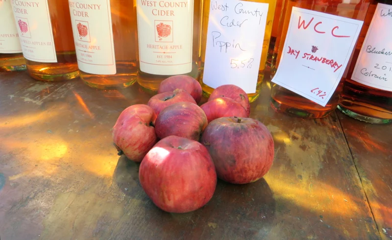 Tremblett's Bitter apples in front of bottles of cider