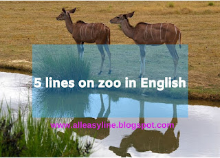 5 lines on zoo in English