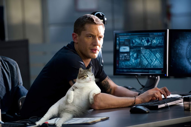 Tim Hardy works on a computer with his favourite fat pussy cat