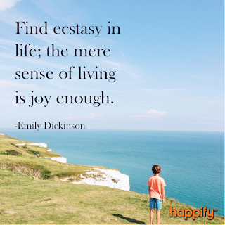 poster-quote-joy-living-enough