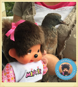 Diana la Monchhichi et Colombine le bébé pigeon pigeonneau oisillon 