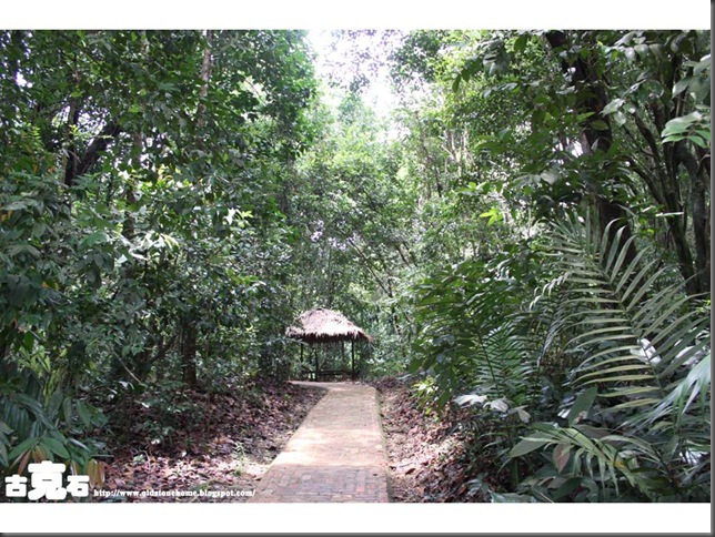 Slide74