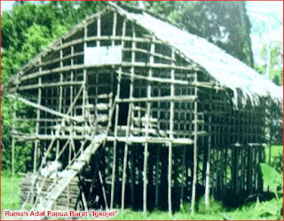 Gambar-Rumah-Adat-Papua-Barat