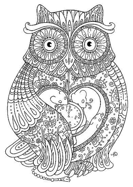 Adult Coloring Pages Owl  Google Search
