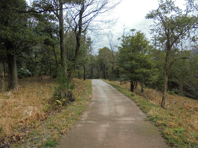 弥生の森の遊歩道