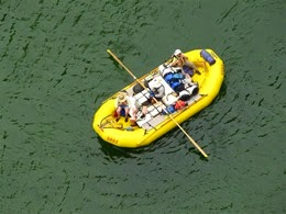 IMG_3511 (Medium)