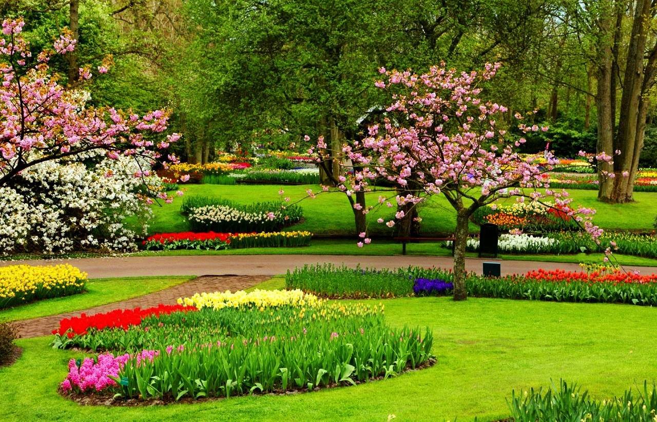 17 Taman Bunga Terindah Di Dunia Pink Colour