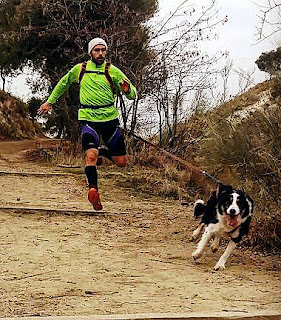 Canicross Aranjuez