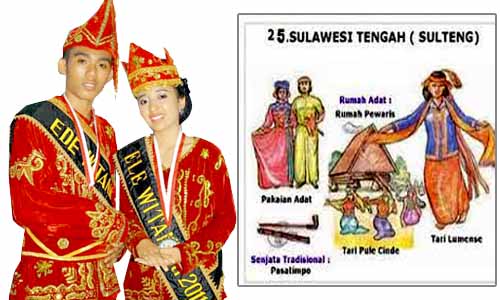 Ciri Ciri Dan Keunikan Pakaian  Adab Provinsi Sulawesi  