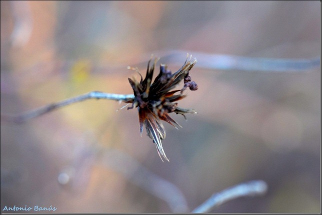 4 DSC_2227x1