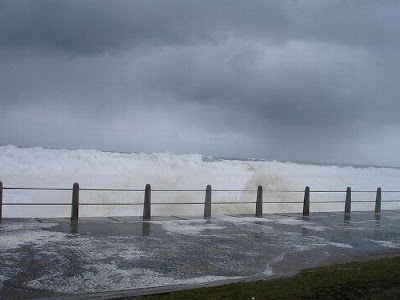 fenomena cappuccino coast