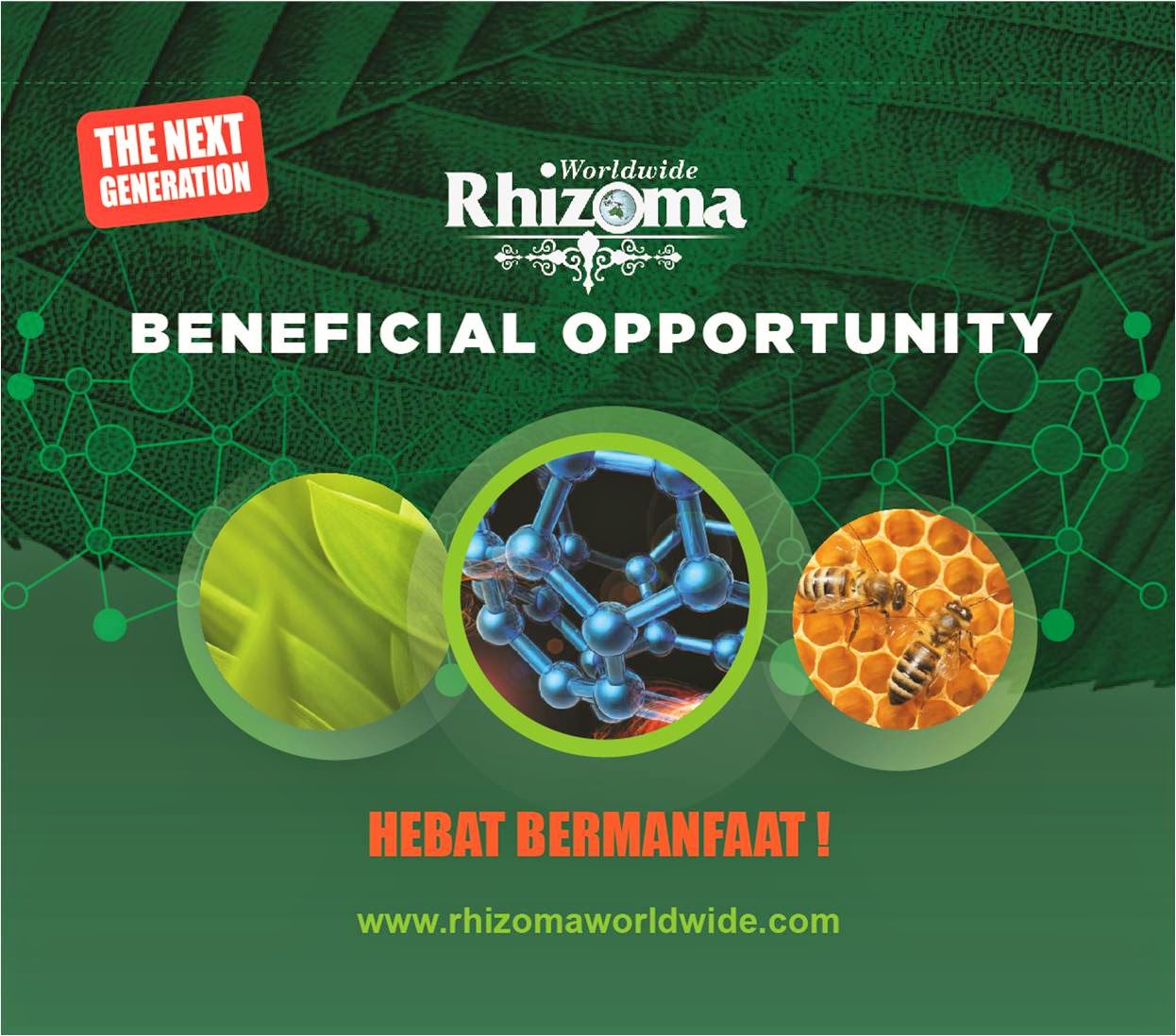 RHIZOMA WORLDWIDE COMPANY