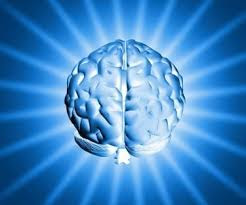 Brain Fitness Is Vital For Your Good Brain Health