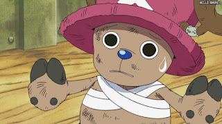 ワンピース アニメ 空島 スカイピア 165話 チョッパー Tony Tony Chopper | ONE PIECE Episode 165 Skypiea