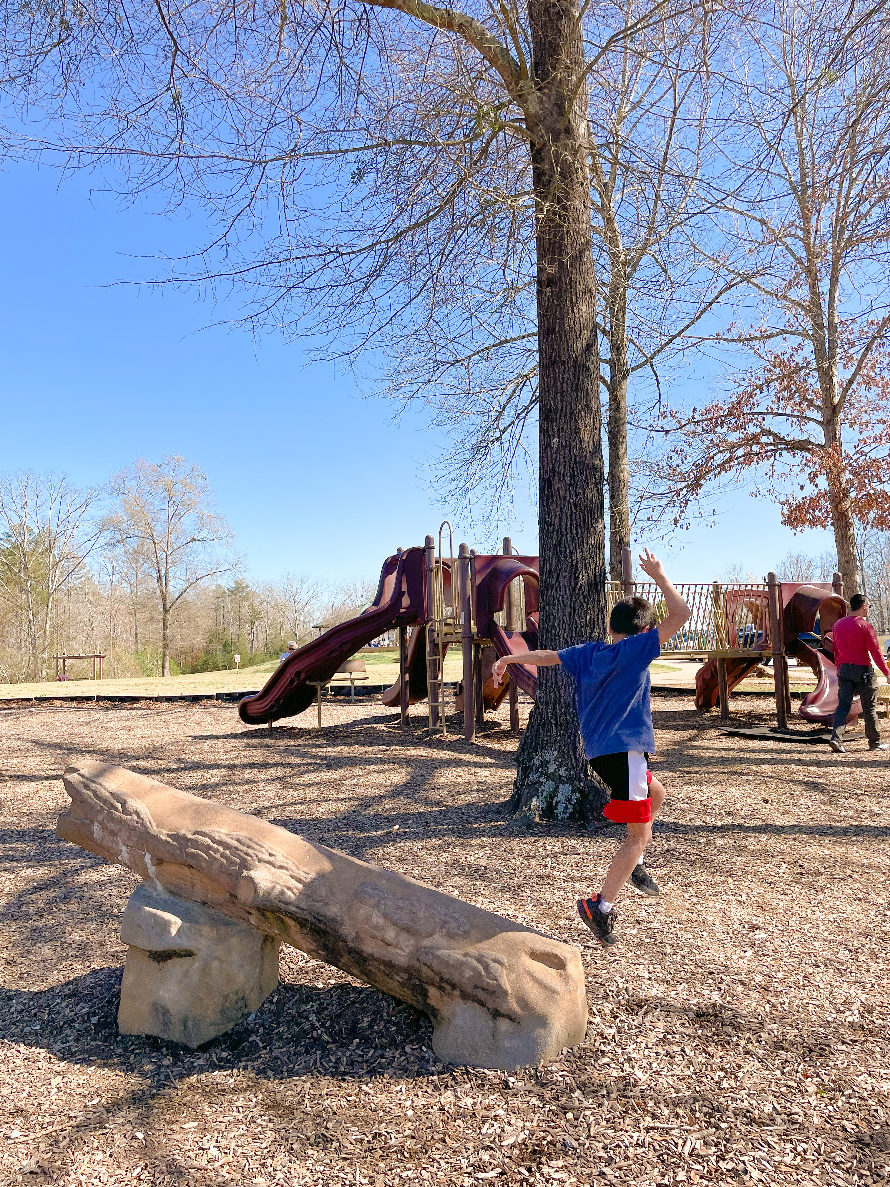 Cedar Falls Park Playgroud