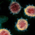 Mutación del coronavirus: Sudáfrica investiga otra variante del patógeno vinculada a su segunda ola de infecciones