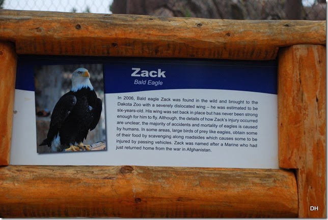 08-06-14 Grizzly and Wolf Discovery Center (71)