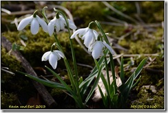 Coombe Abbey CP D3100  16-02-2013 14-12-41