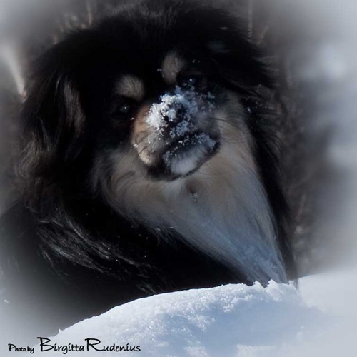 milton_20110312