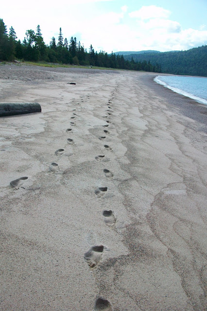 footprints on sandy beach