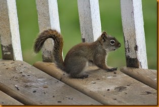 IMG_5810