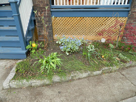 Riverdale Spring Cleanup Front Garden After by Paul Jung Gardening Services--a Toronto Gardening Company
