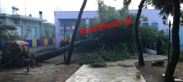 Παραλίγο τραγωδία από πτώση δέντρου σε νηπιαγωγείο στη Κόρινθο 