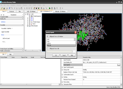 Docking with discovery studio 2.1