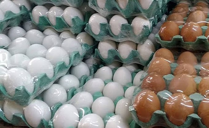 Preço da cartela de ovos dispara durante quarentena em Rondônia 