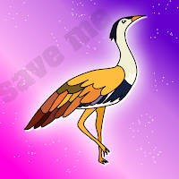 Play The Great Indian Bustard …