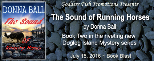 http://goddessfishpromotions.blogspot.com/2016/06/book-blast-sound-of-running-horses-by.html