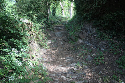 Ruta del Romànic de la Vall de Boí; tram empedrat del camí de Boí a Erill la Vall