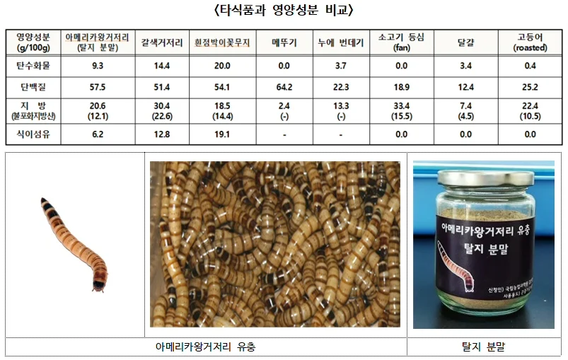 ‘아메리카왕거저리 유충’ 새로운 식품원료 인정