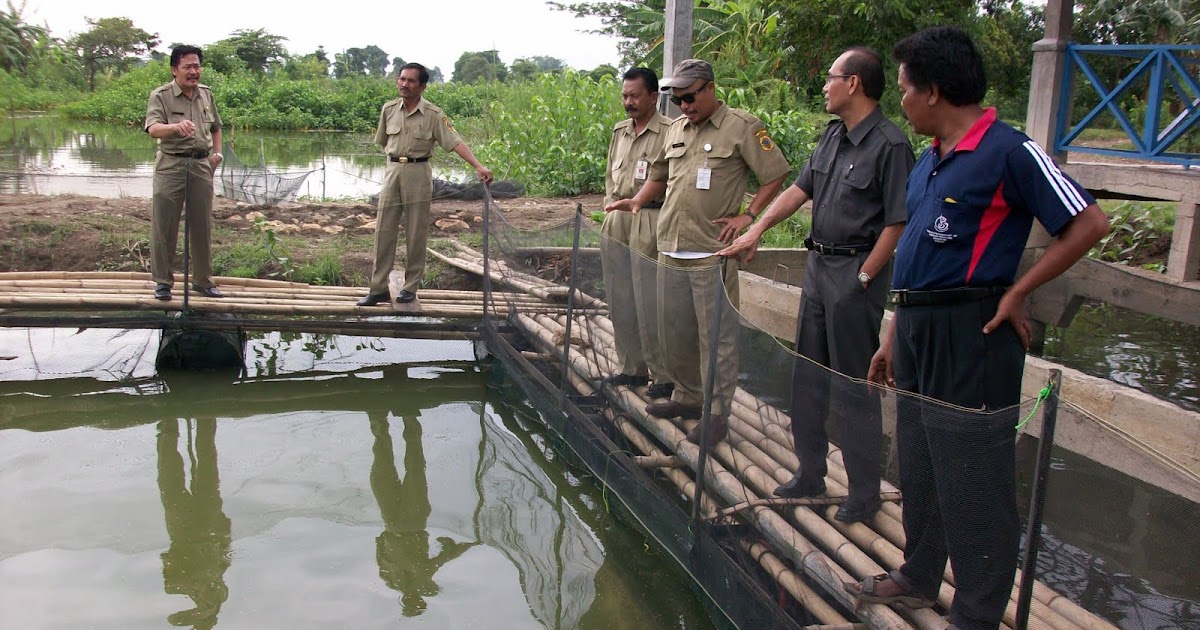 Teknologi Praktis Budidaya Ikan sistem Karamba Jala Apung  