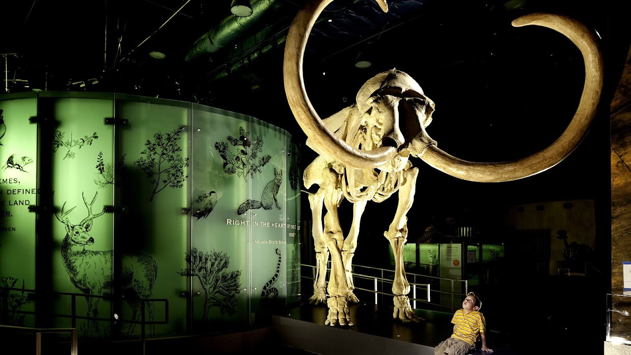 Museum Las Vegas