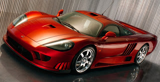 SALEEN 6