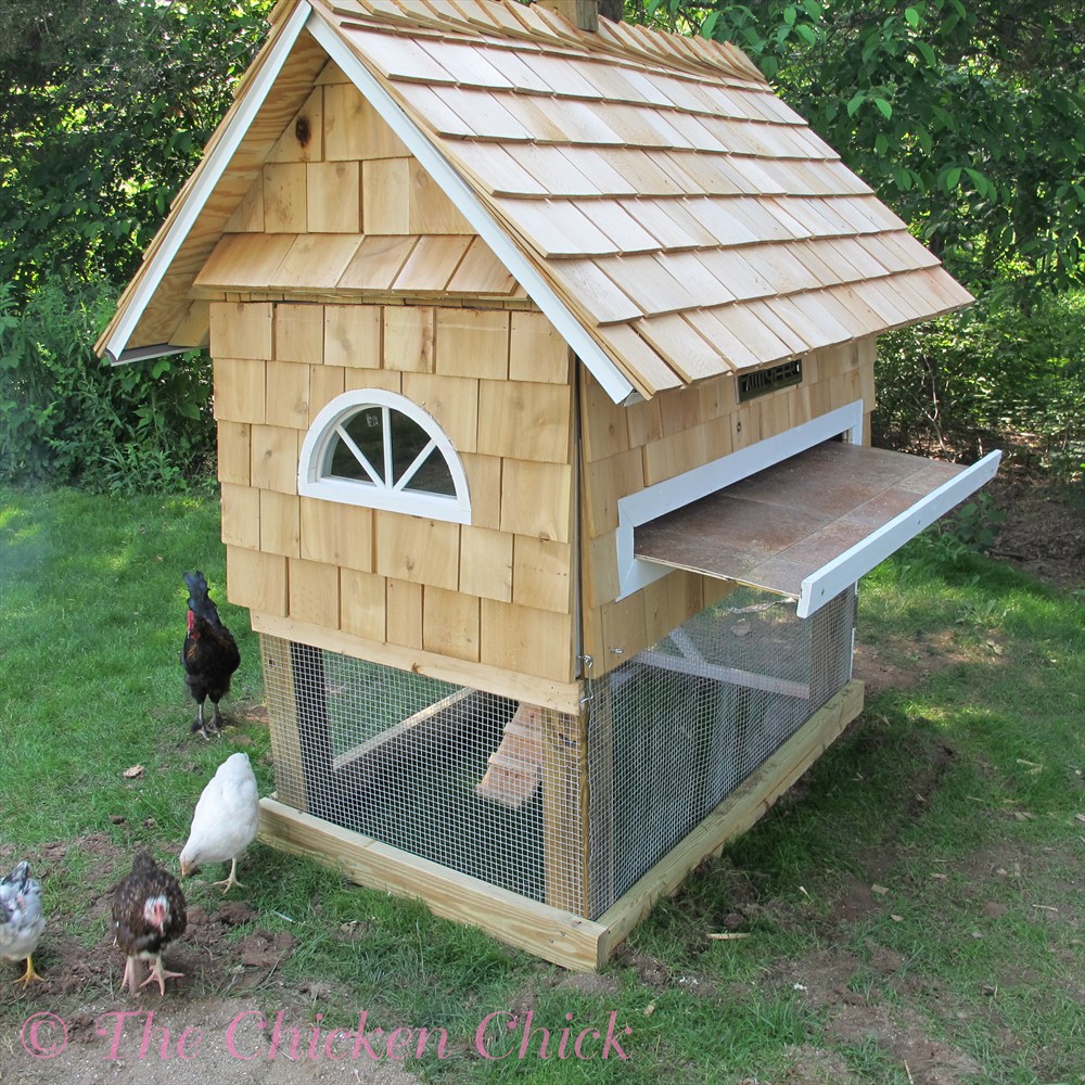 The Chicken Chick®: Building our Quail Coop