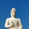 Bouddha Buddha bhagwan gautama lord ji