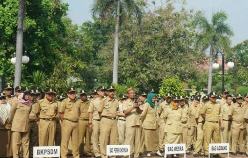 Revisi UU ASN Disahkan, Pegawai Honorer Langsung Diangkat PNS