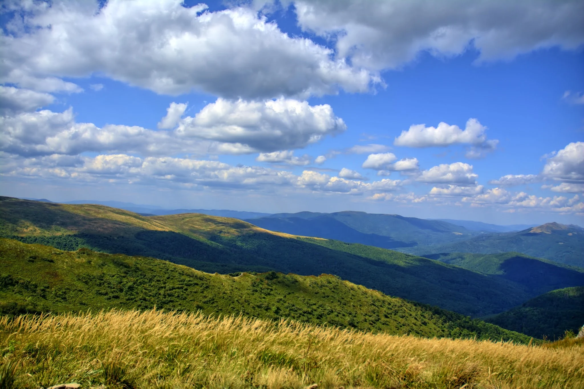 Bieszczady National Park Poland