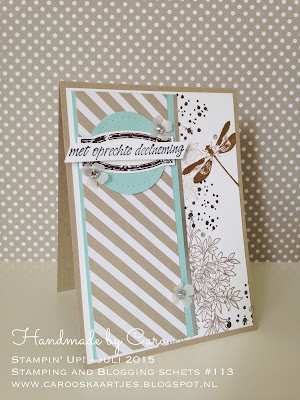 Handgemaakt door Caro - juli 2015 - Stampin' Up!