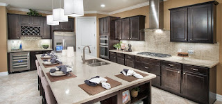 Divosta model home Sandhill Preserve